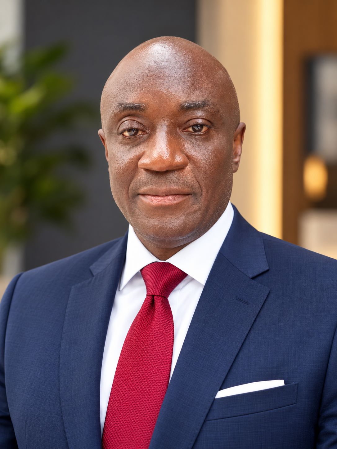Dr. Paul Bamidele Martins, Executive Adviser